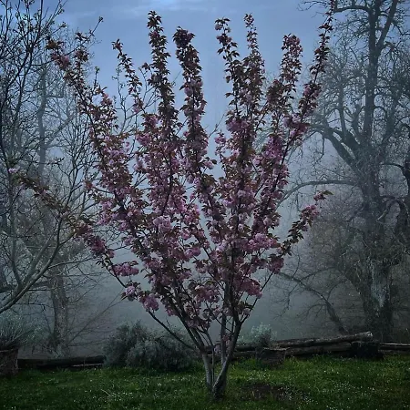 Podere Relais Fabilandia
