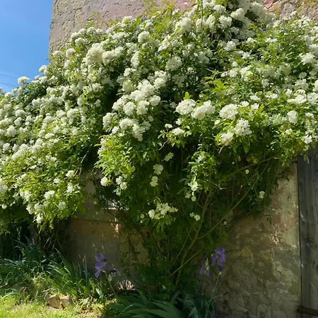 Podere Relais Fabilandia Séjour à la campagne